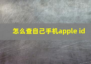 怎么查自己手机apple id